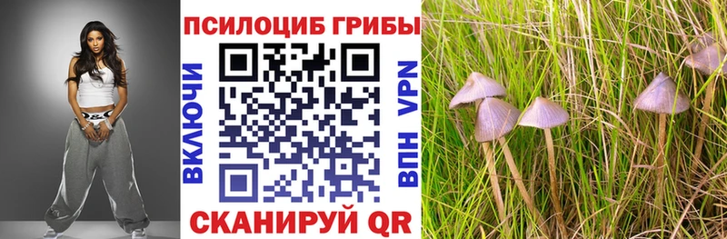 Галлюциногенные грибы ЛСД  Арск 